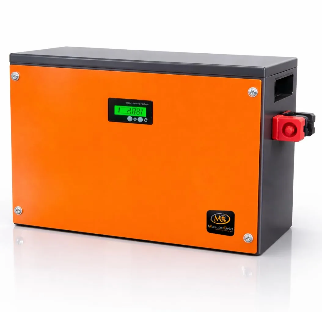 MuscleGrid 12V 100Ah LiFePO4 Battery — 1.2 kWh, 4 Cells + BMS